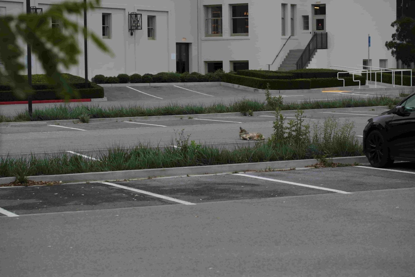 Parking lot