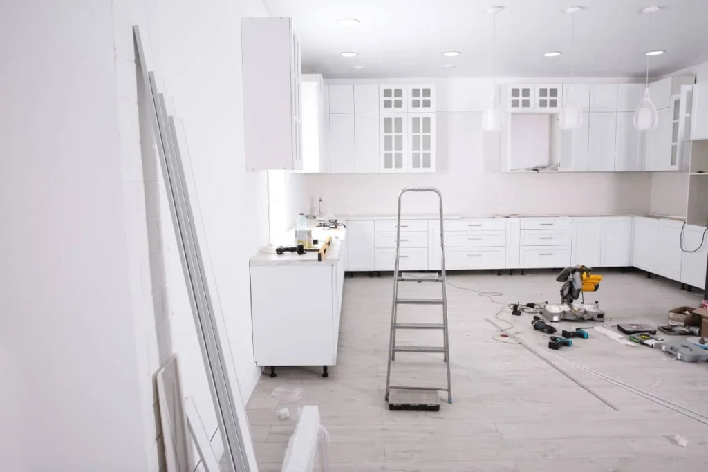 Kitchen renovation and remodel